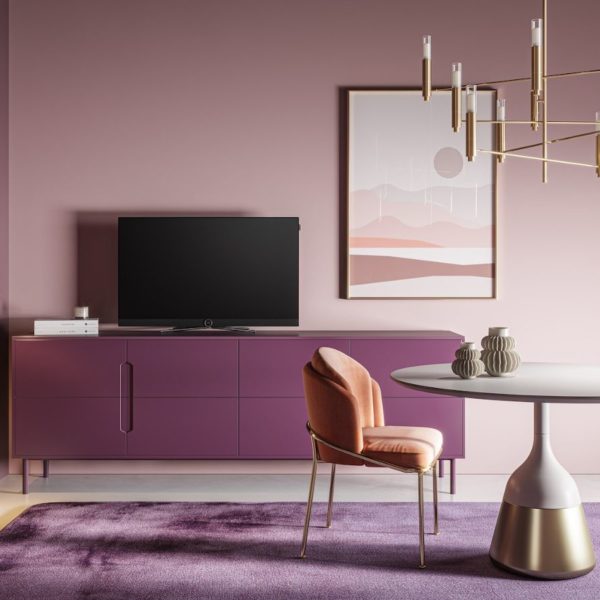 LOEWE BILD C43